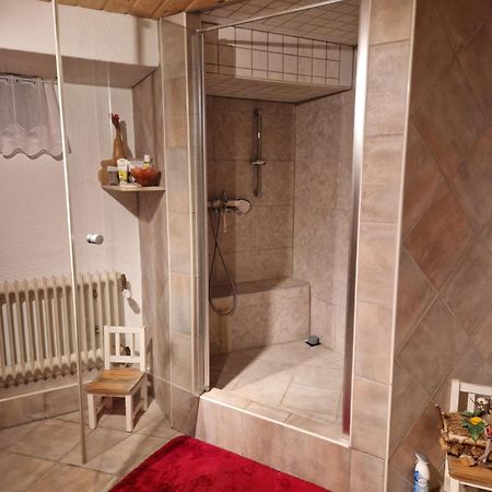 Grosses Gemuetliches Zimmer Mit Eigener Dusche Und Sauna Auf Wunsch Rheinstetten Bagian luar foto